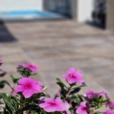 말라가 Del Parque Flats Balneario De Pina 빌라 외부 사진