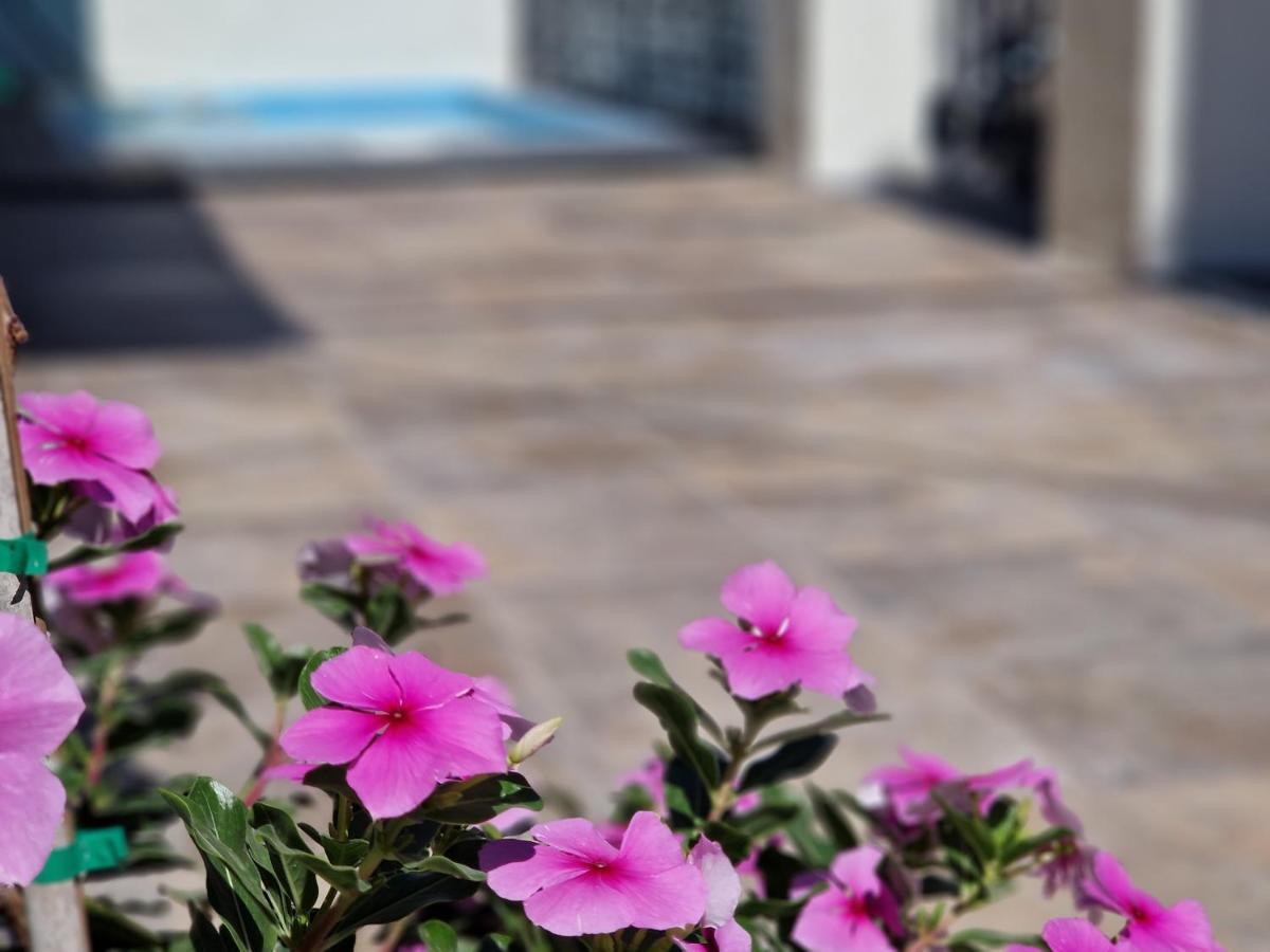 말라가 Del Parque Flats Balneario De Pina 빌라 외부 사진